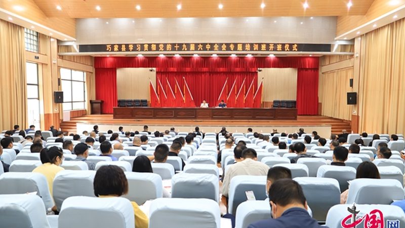 学历提升代理加盟，协议内容解析**